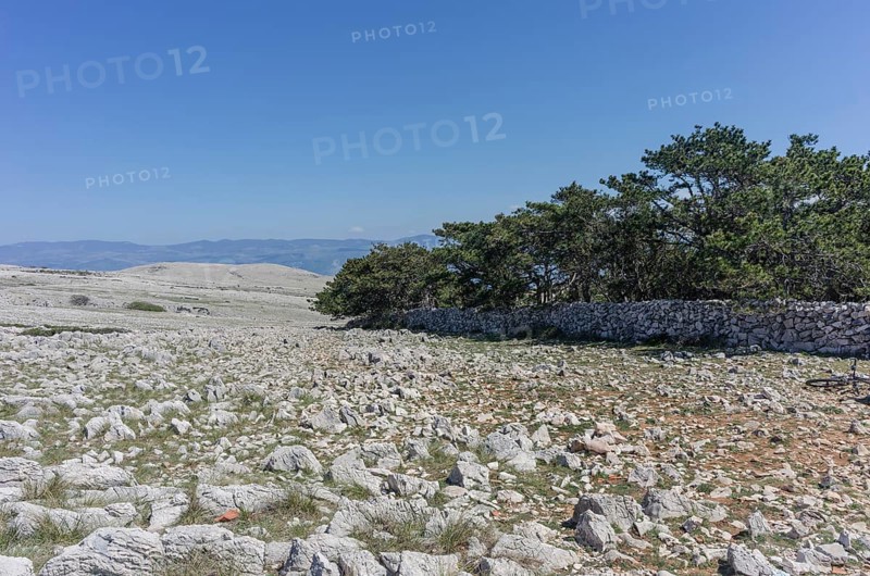 Plateau of the Moon