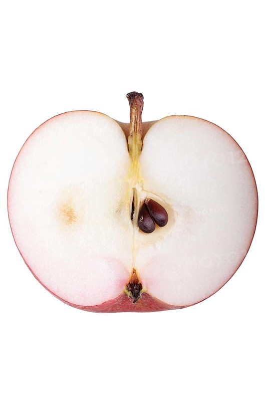 Apple variety Malvasia