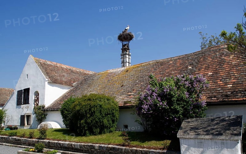 Farmhouse with a stork's nest