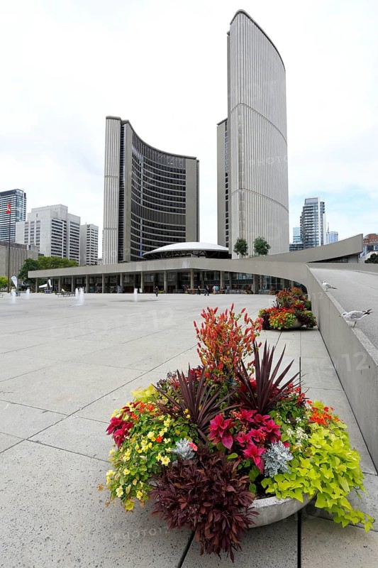 New City Hall