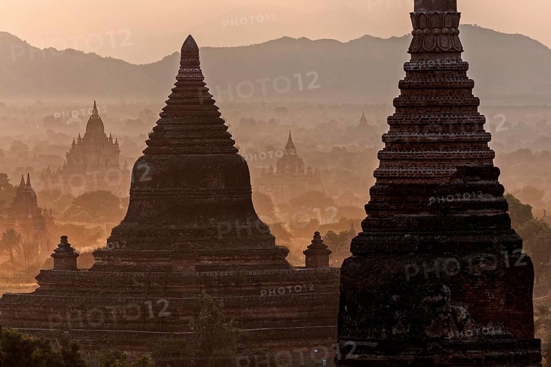 Pagoda field in the morning mist