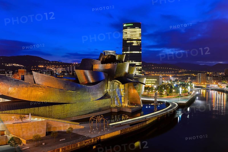 Guggenheim Museum Bilbao