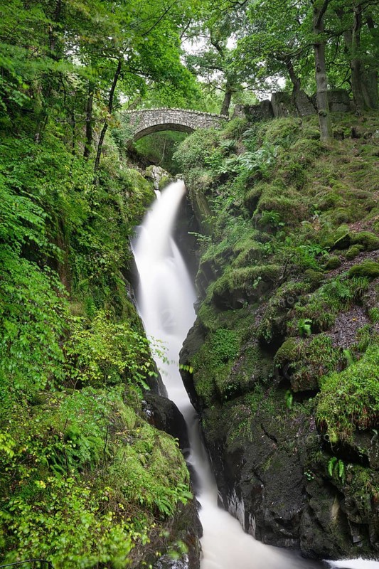 Bridge