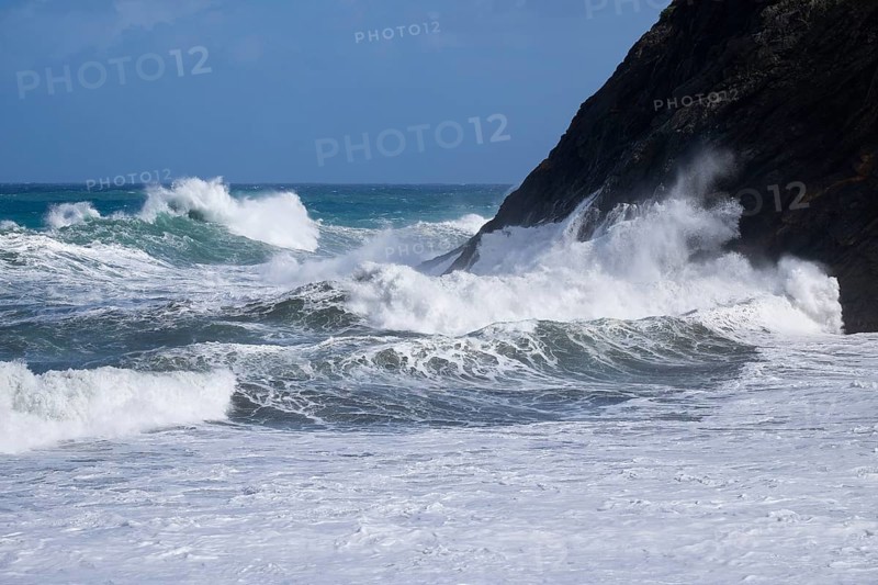 Surf