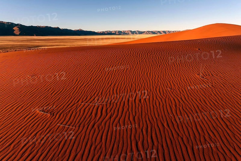 Sand dunes in the evening light