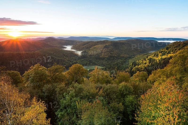 View of the Palatinate Forest from Wegelnburg Castle