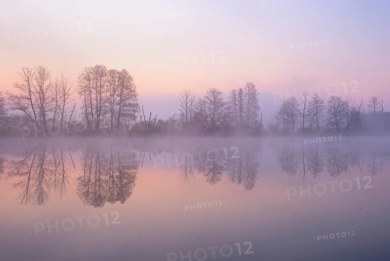 Morning atmosphere with morning fog at a pond