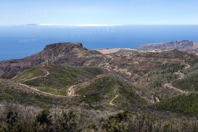 View from the summit of Garajonay on charred shrubs