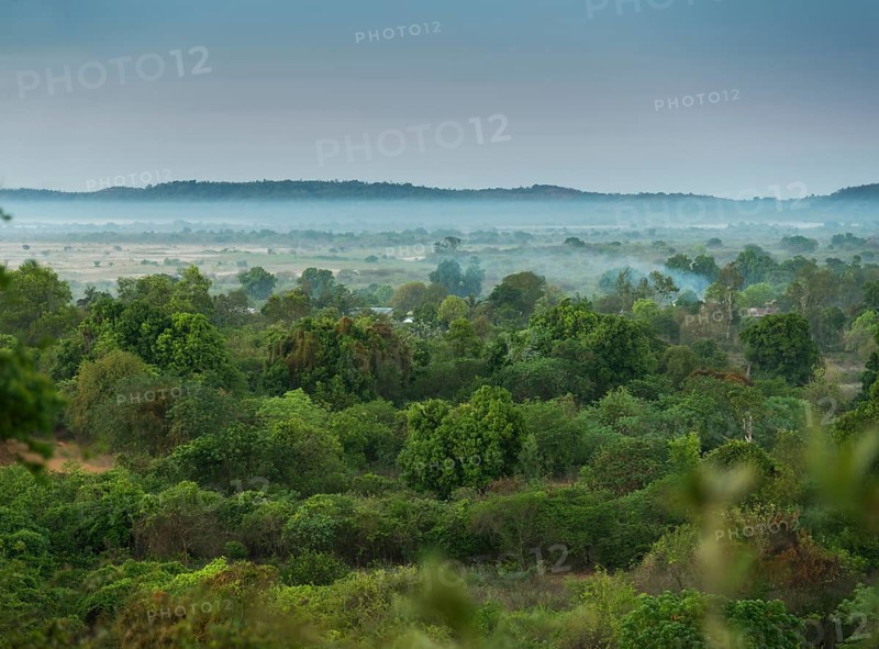 Bush landscape with morning fog on the Manambolo in Bekopaka