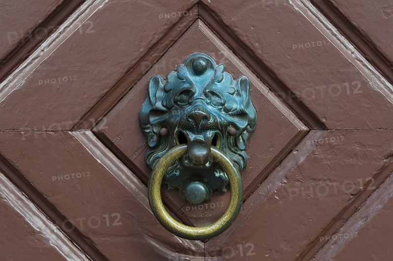 Lion head door knocker on an old door