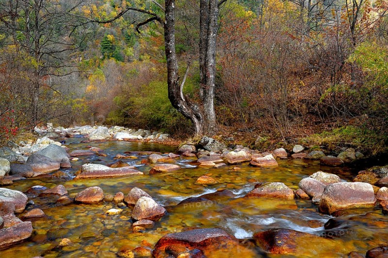 Ferruginous river in the Zhouzi Nature Reserve