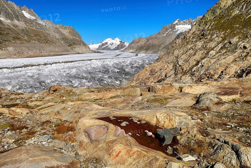 Great Aletsch Glacier