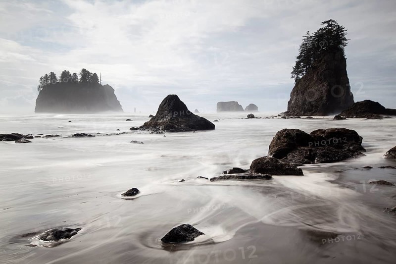 Sea stack on Second Beach in Olympic National Park