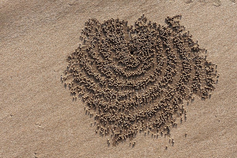 Small sand beads around the den of a sand crab