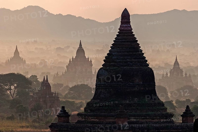 Pagoda field in the morning mist