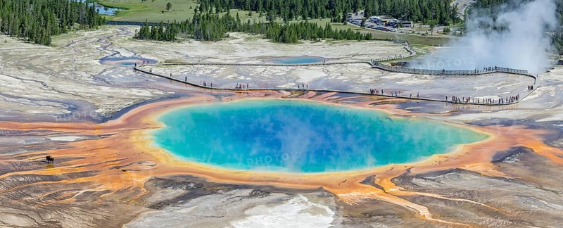 Sinter crust of the Grand Prismatic Spring