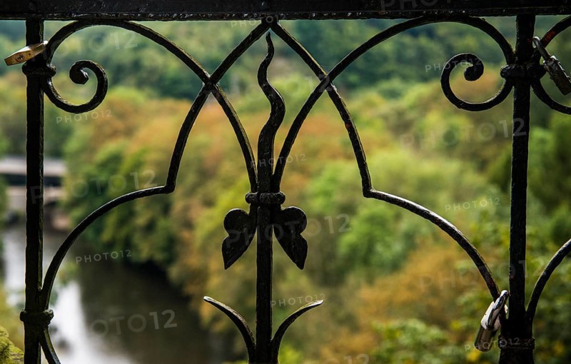 Wrought-iron gate in front of autumn forest