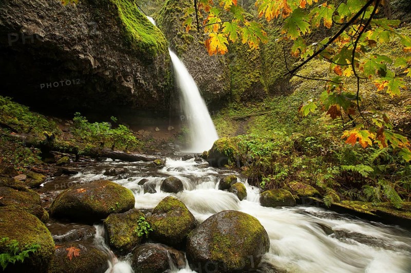 Ponytail Falls