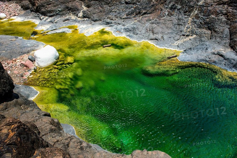 Green pond in a valley at the Dixsam plateau