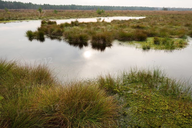 Moorlands