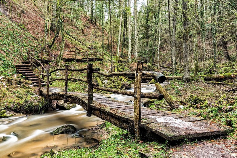 Strumpfelbach stream in winter