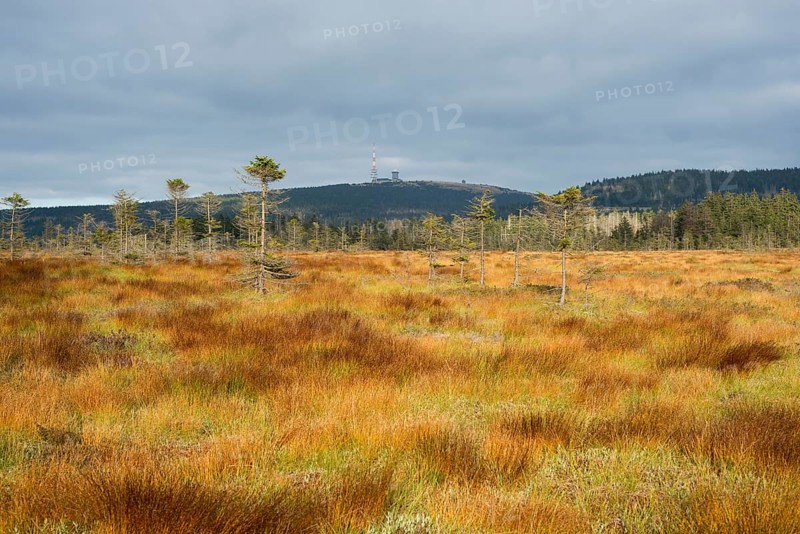 Bodebruch raised bog in autumn with view of the Brocken mountain