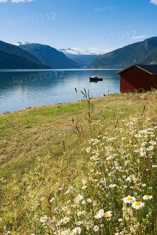 On Lustrafjord