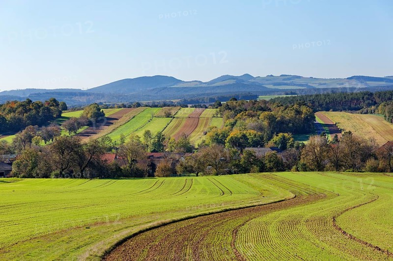 Landscape with fields