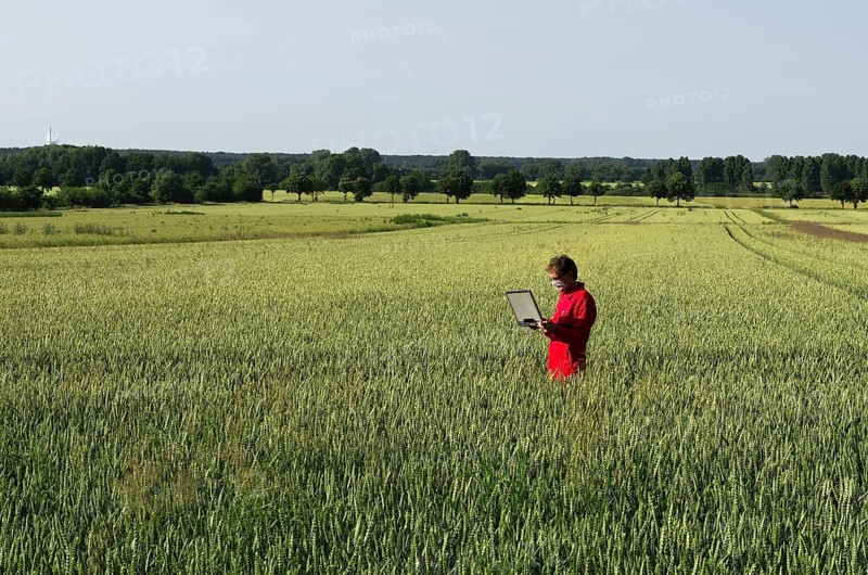 Scientist at grainfield