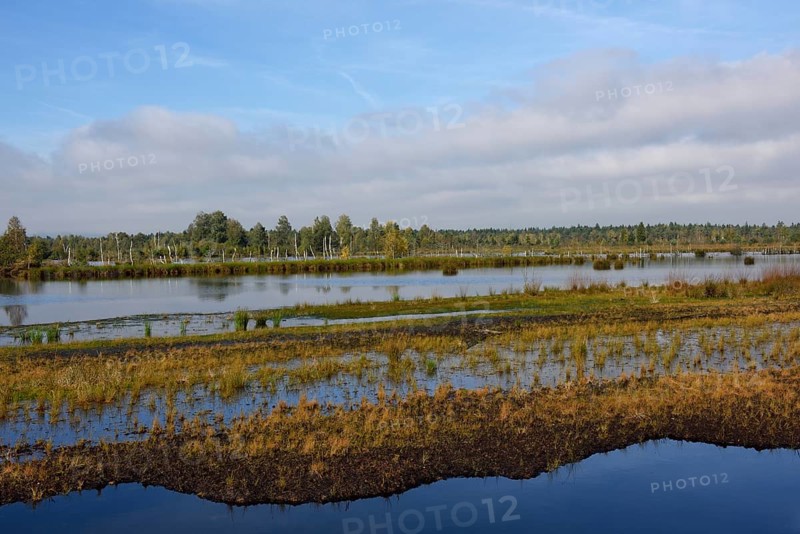 Waterlogged
