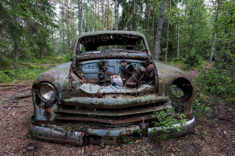 Junkyard in the forest