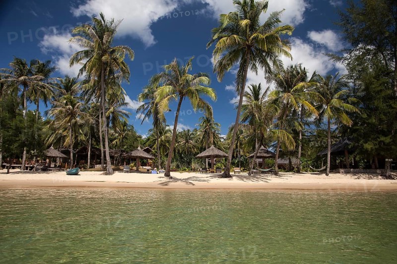 Beach with coconut trees