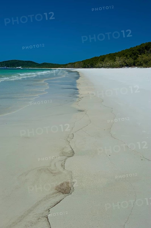 Whitehaven beach in the Whitsunday Islands