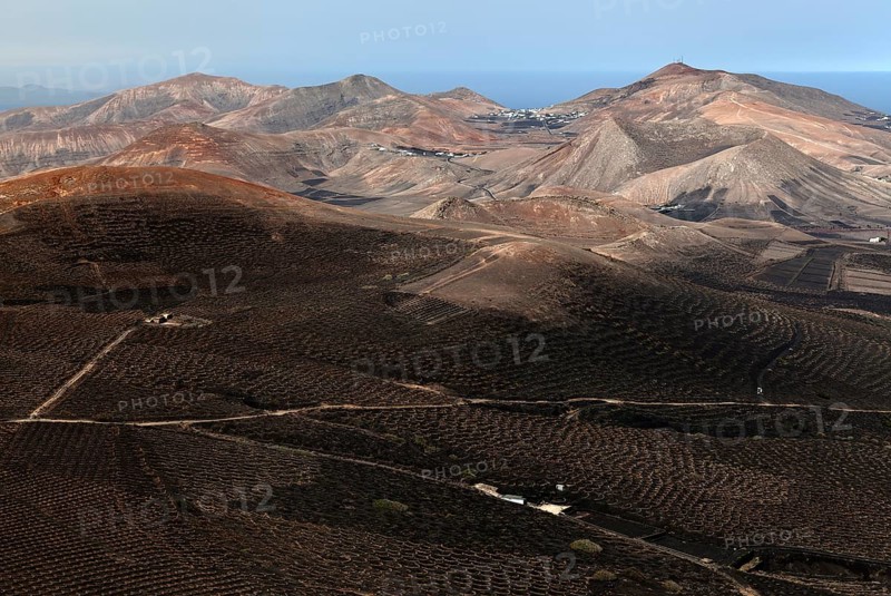 View from the Montana de Guardilama range south on the wine growing region of La Geria