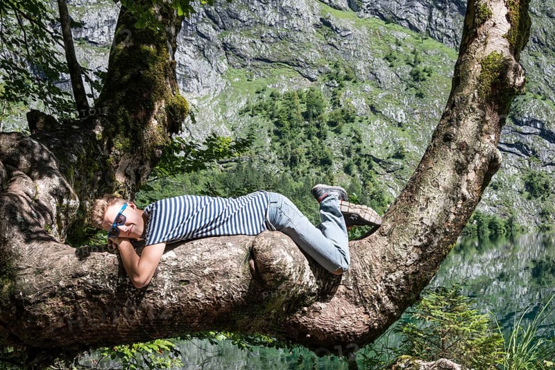 Young Man with sunglasses relaxing on a tree branch