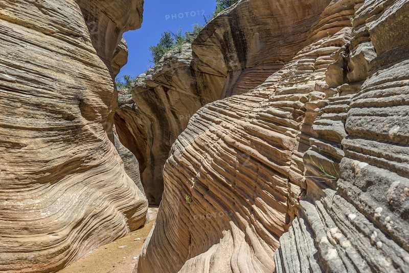 Hiking trail through Willis Creek Canyon