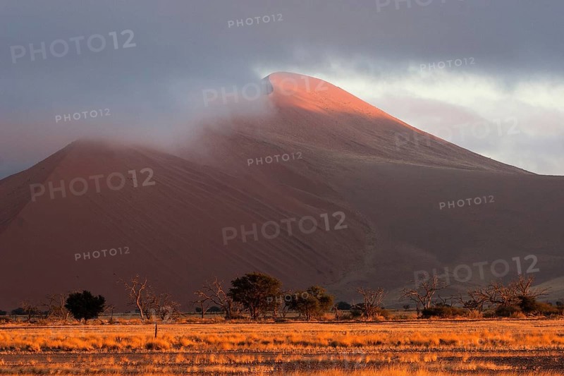 Sand dunes
