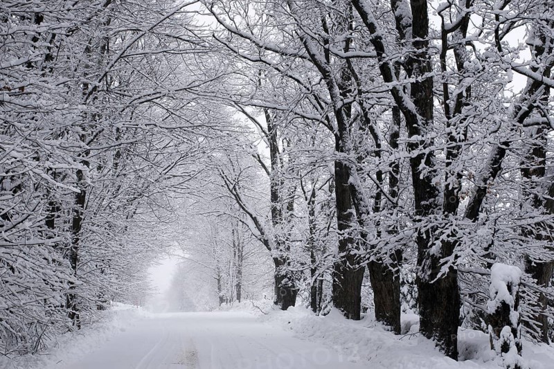 Winter storm