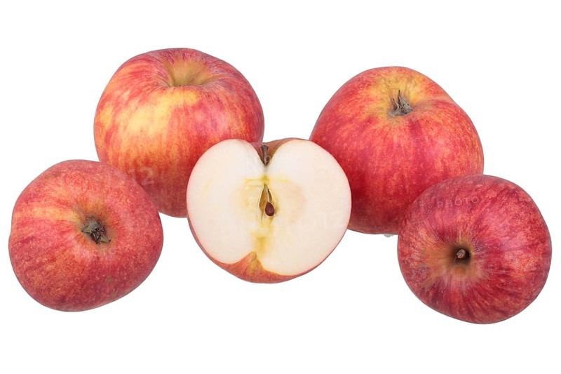 Red Gravenstein apple variety with cut apple