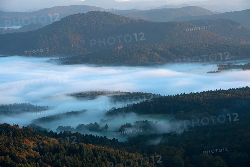Palatinate Forest