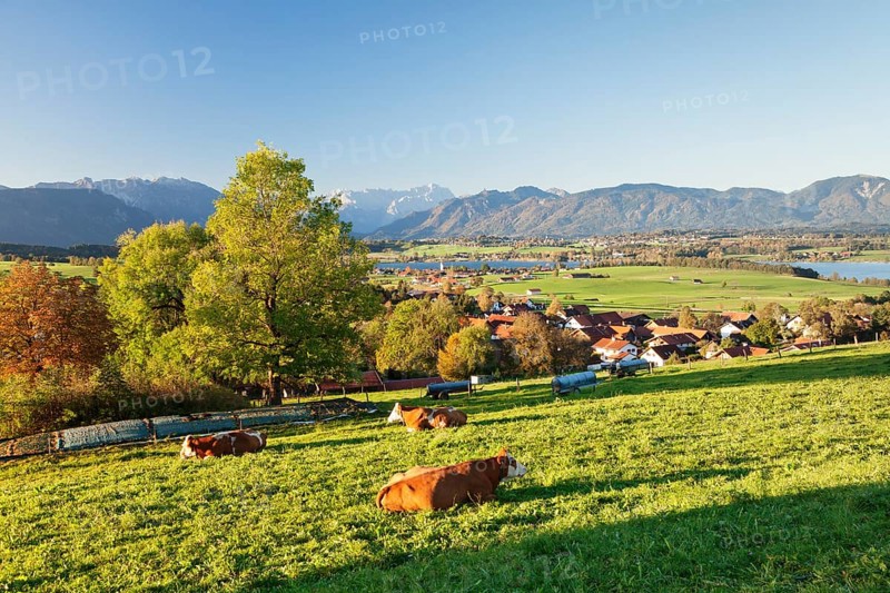 View from Aidlinger Heights across Aidling am Riedsee to Murnau am Staffelsee and the Wetterstein Range