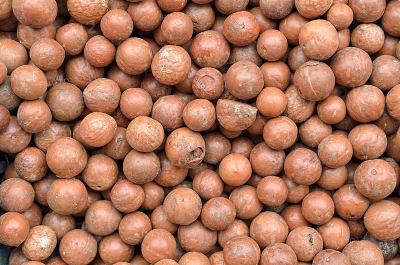 Macadamia nuts