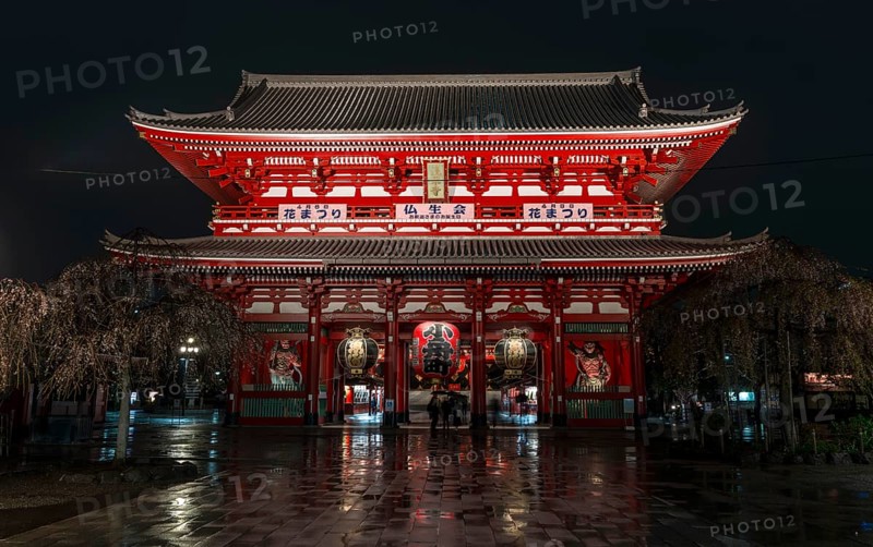 Night shot