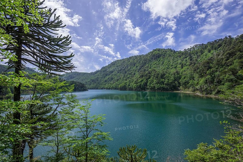 Lago Chico