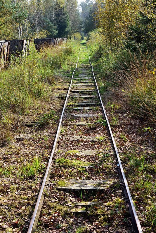 Narrow gauge railway tracks