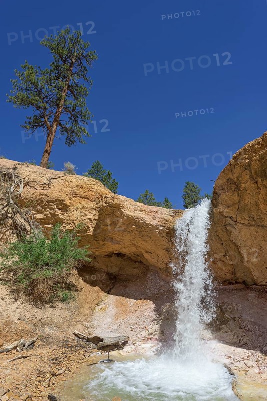 Waterfall at Mossy Cave Trail