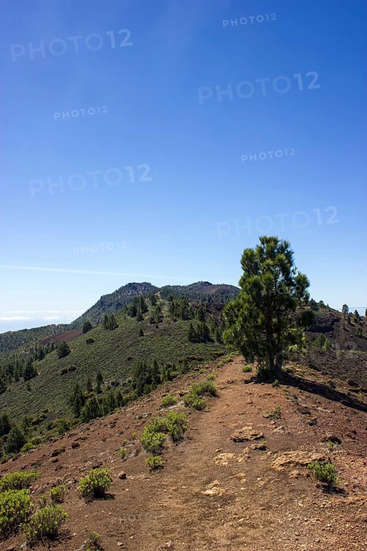 On the 'Ruta de los Volcanes' trail