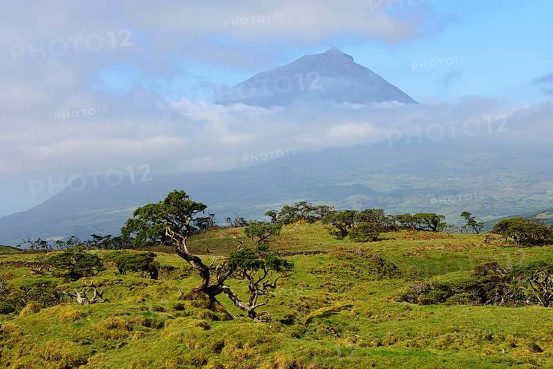 Pico mountain