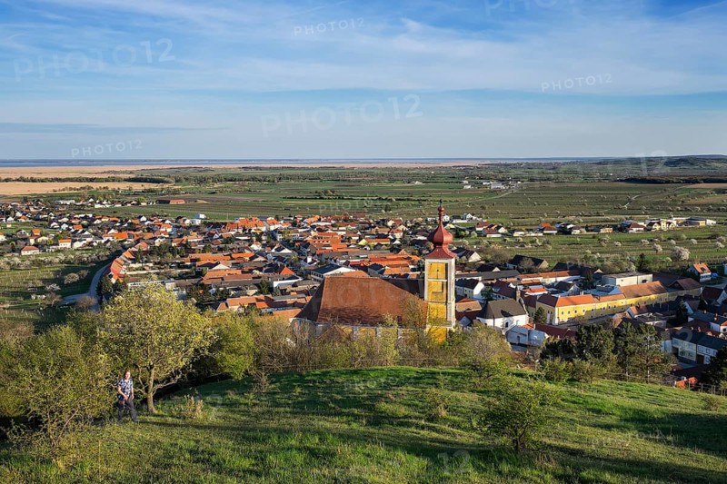 Town View with Mountain Church of St. Martin and Lake Neusiedl