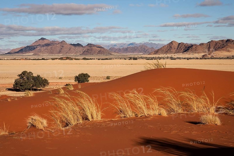 Elim Dune